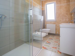 Appartamento per vacanze Kastelir Caratteristiche 14