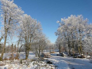 Appartamento per vacanze Erndtebrück Ambiente 25