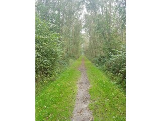 Ferienwohnung Langeoog Umgebung 23