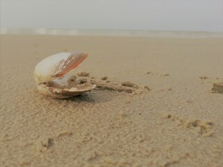 Ferienwohnung Langeoog Umgebung 36