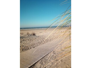 Ferienwohnung Langeoog Umgebung 37