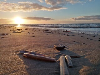 Ferienwohnung Langeoog Umgebung 38