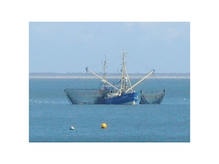 Ferienwohnung Friedrichskoog Umgebung 12