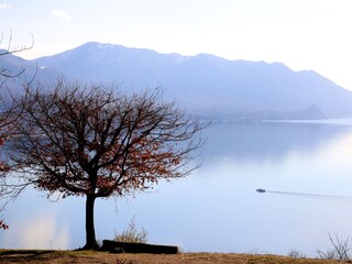 Finca Maccagno Buitenaudio-opname 12