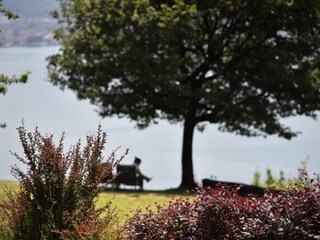 Finca Maccagno Buitenaudio-opname 17