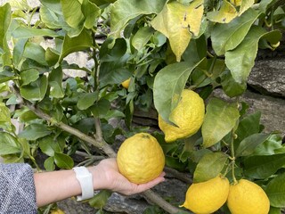 Finca Maccagno Enregistrement extérieur 5