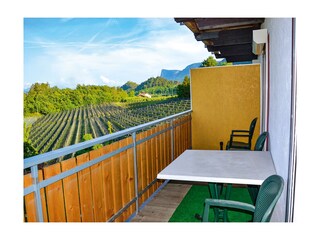 Vakantieappartement Lana Kenmerken 18