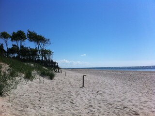 Appartamento per vacanze Prerow Ambiente 16