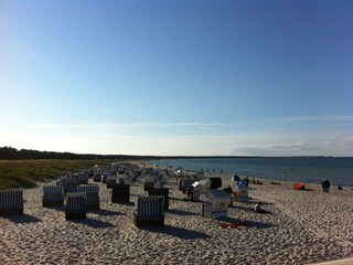 Appartamento per vacanze Prerow Ambiente 18