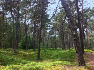 Appartamento per vacanze Prerow Ambiente 20