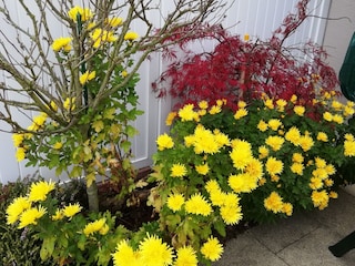 Terrasse im Herbst