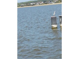 Blick vom Achterwasser aus