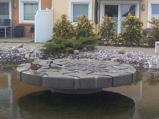 Enten am Springbrunnen