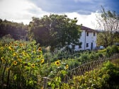 Ferienwohnung Montegabbione Außenaufnahme 1