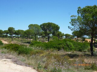 Appartamento per vacanze Torrox Costa Ambiente 42