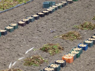 Appartamento per vacanze Torrox Costa Ambiente 48