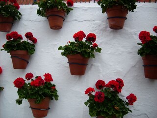 Vakantieappartement Torrox Costa  42