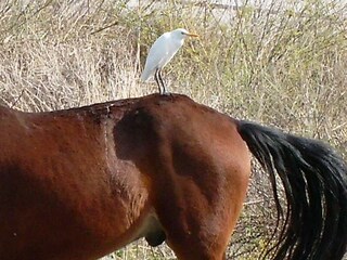 Appartamento per vacanze Torrox Costa Ambiente 49