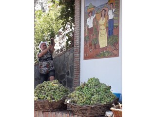 Appartamento per vacanze Torrox Costa Ambiente 52