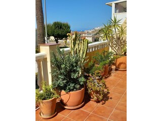 Appartamento per vacanze Torrox Costa Registrazione all'aperto 6