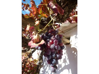 Appartamento per vacanze Torrox Costa Ambiente 45