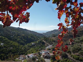 Appartamento per vacanze Torrox Costa Ambiente 46