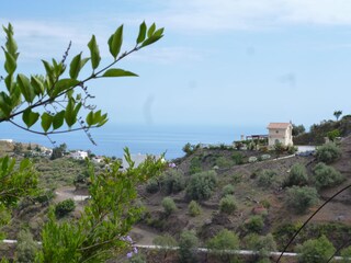 Vakantieappartement Torrox Costa Omgeving 48