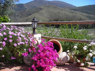 Casa per le vacanze Orgiva Registrazione all'aperto 5