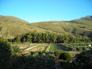 Casa per le vacanze Orgiva Registrazione all'aperto 8