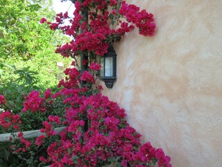 Casa per le vacanze Orgiva Registrazione all'aperto 13