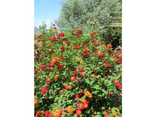 Casa per le vacanze Orgiva Registrazione all'aperto 14