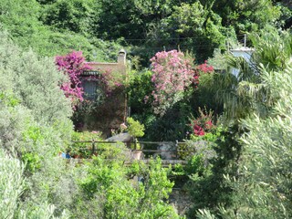 Casa per le vacanze Orgiva Registrazione all'aperto 16