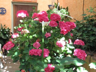 Casa per le vacanze Orgiva Registrazione all'aperto 17