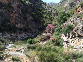 Casa per le vacanze Orgiva Ambiente 32