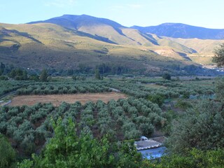 Casa per le vacanze Orgiva Ambiente 33