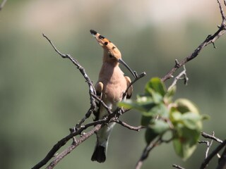 Casa per le vacanze Orgiva Ambiente 35