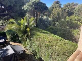 Blick vom Balkon