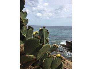 Sentier littoral