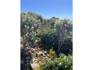 Vakantiehuis Cavalaire-sur-Mer Omgeving 29