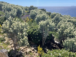 Cap Taillat