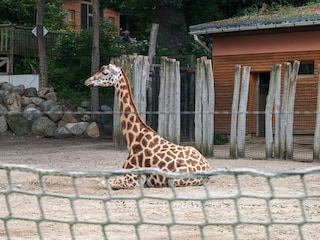 Schweriner Zoo