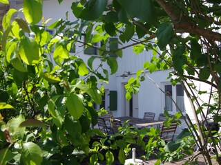 Ferienhaus Dießen Außenaufnahme 7