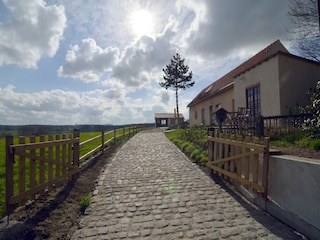 Landhaus Ellezelles Umgebung 30
