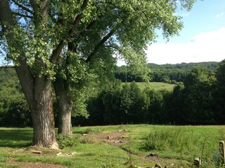 Cottage Ellezelles Environment 38