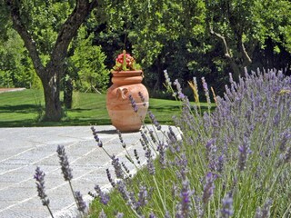 Villa San Marcello Pistoiese  33