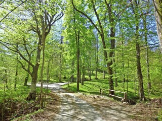 Villa Sarripoli Omgeving 32