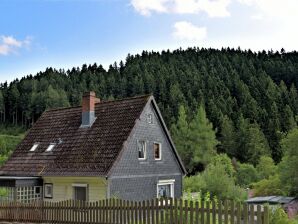 Agréable appartement à Wildemann au milieu de la forêt - Homme sauvage - image1