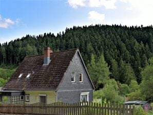 Pleasant Apartment in Wildemann amid Forest - Wildemann - image1