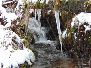 Apartment Wildemann Environment 25