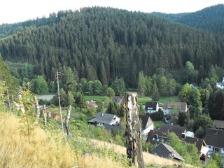 Apartment Wildemann Umgebung 28